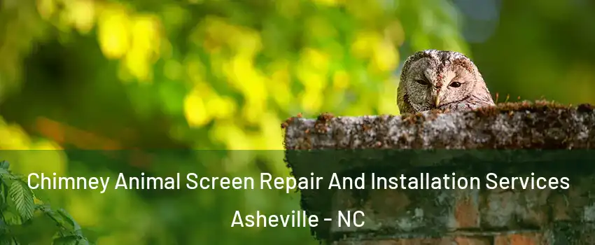  Chimney Animal Screen Repair And Installation Services Asheville - NC
