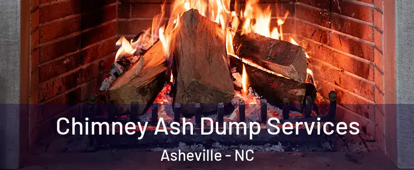  Chimney Ash Dump Services Asheville - NC