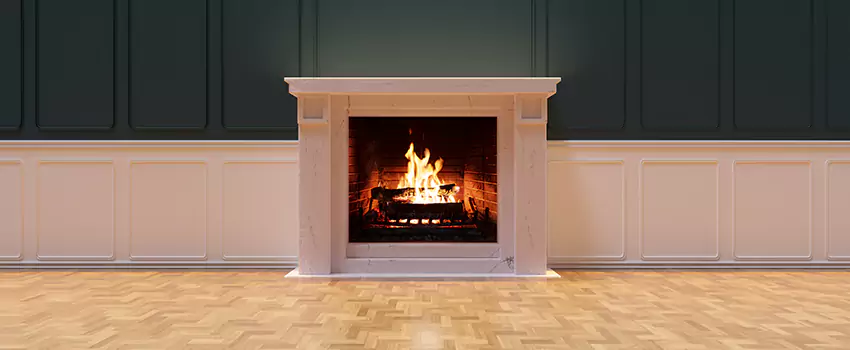 Napoleon Electric Fireplaces Inspection Service in Asheville, North Carolina