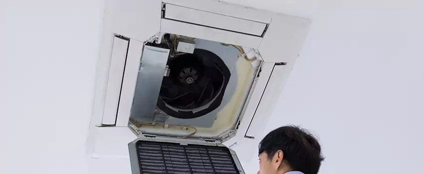 Benefits of Professional Air Duct Cleaning in Asheville, North Carolina