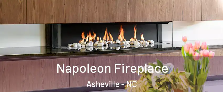  Napoleon Fireplace Asheville - NC