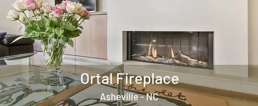  Ortal Fireplace Asheville - NC